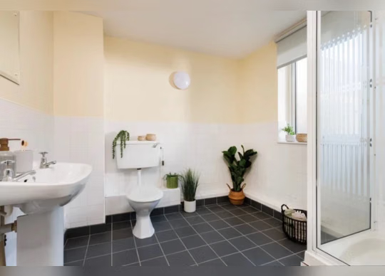Westhill Hall, Sheffield Large Standard Double Ensuite: Three Bed Flat