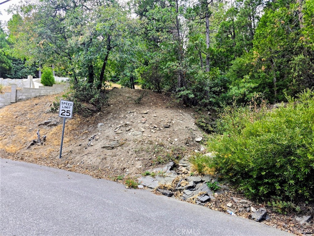 0 Zurich Drive Lake Arrowhead CA, 9235264595104979969121