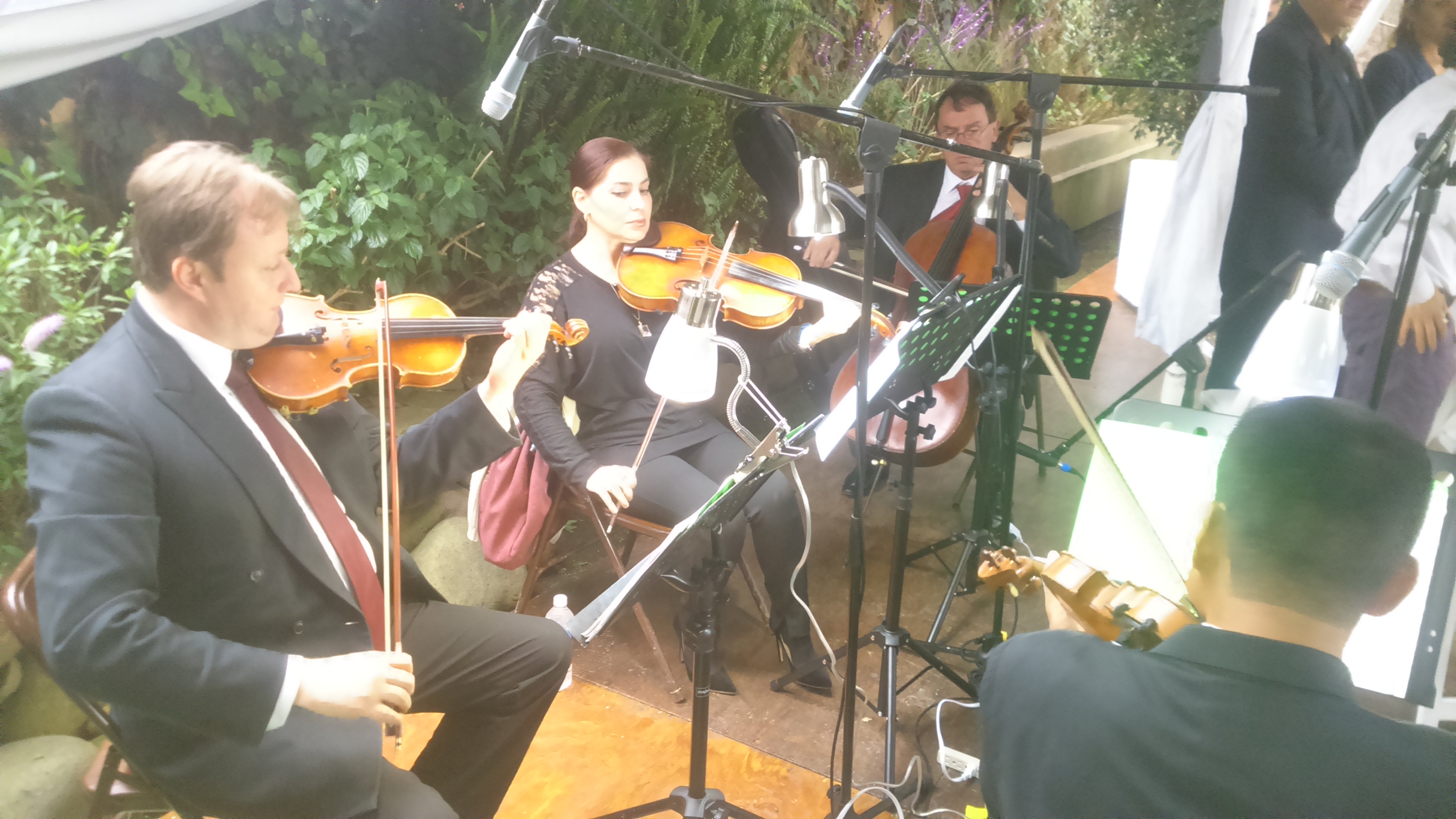 Música de violín para bodas64988479967618121