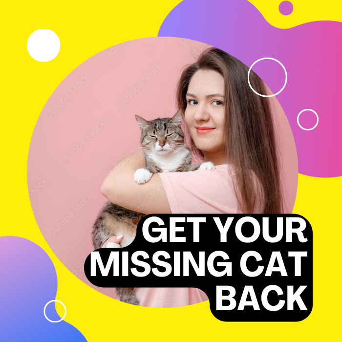 Su gato está ahí afuera: ¡tráigalo de vuelta ahora!