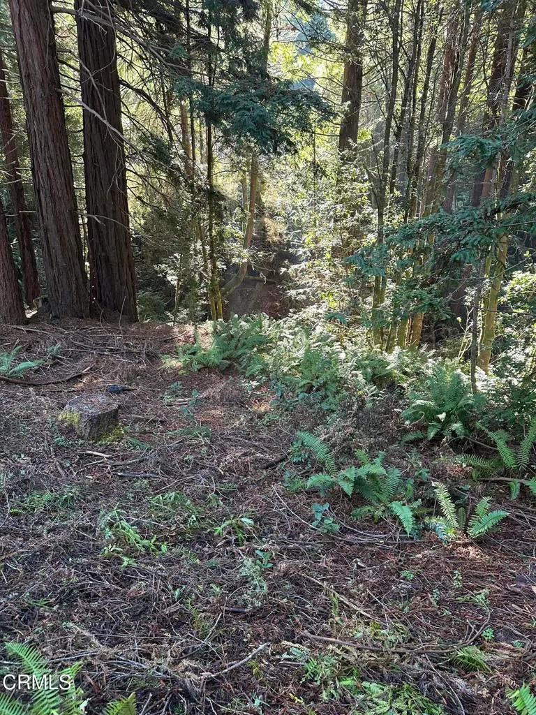 17500 Redwood Springs Drive, Fort Bragg, CA