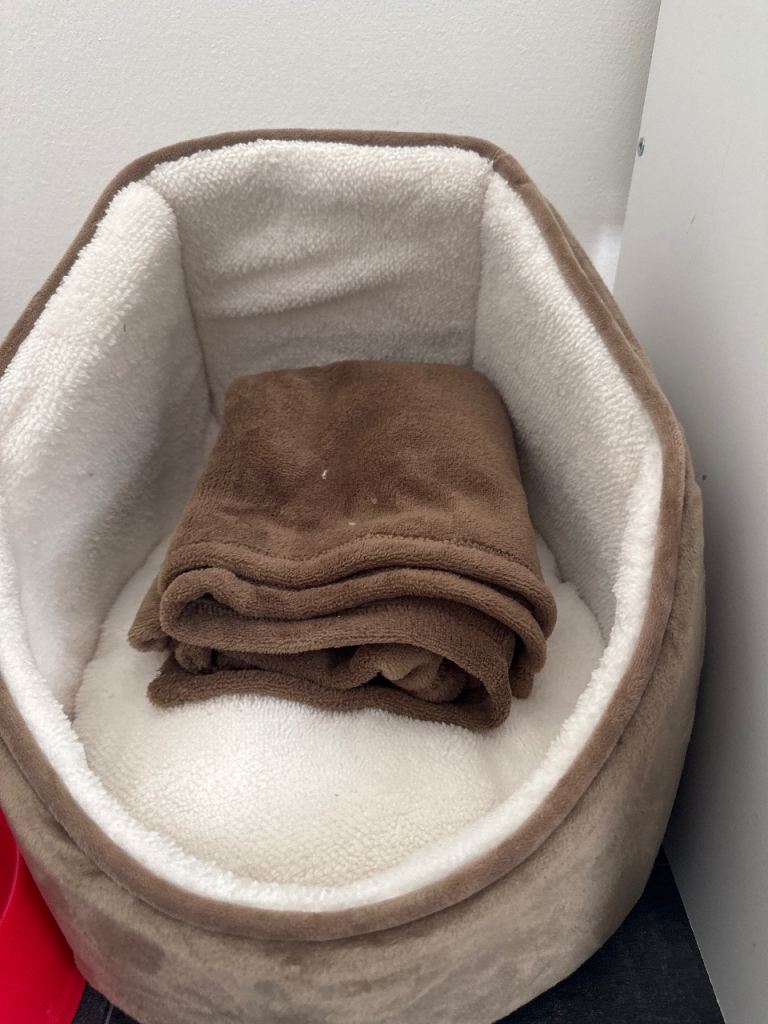 Brown and White Fleece Pet Bed with Matching Blanket
