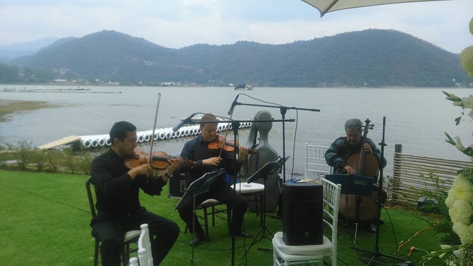 Cuarteto de cuerdas Conciertos y Ventas64988500541954121