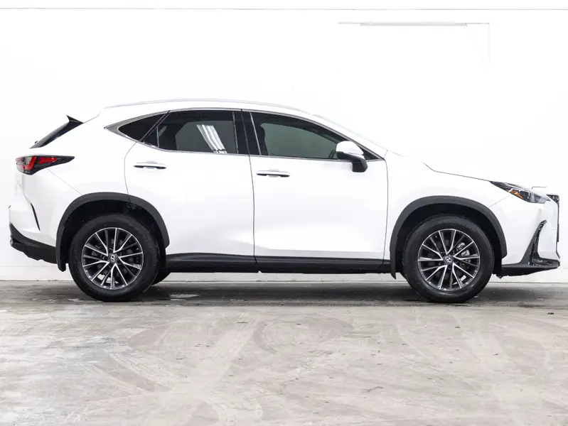 2022 Lexus NX65073183895681121