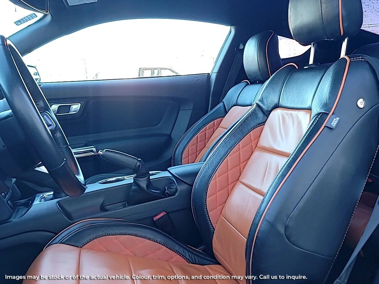 2019 Ford® Mustang GT Fastback65071122877185122