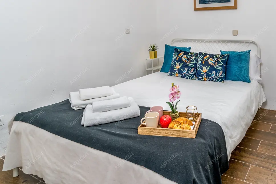Fantástico apartamento de 1 dormitorio cerca del metro Lavapiés