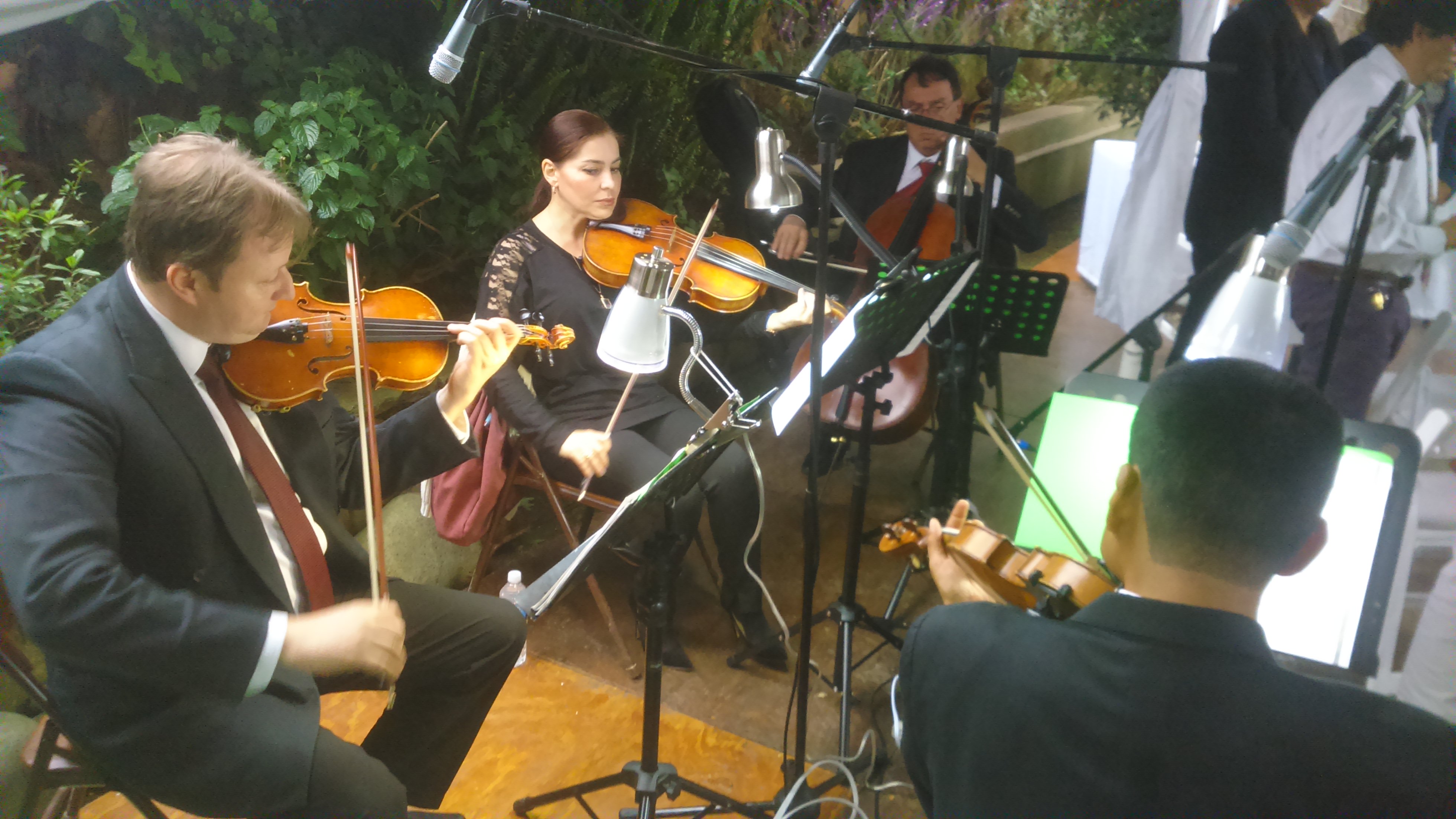 Cuarteto de cuerdas Conciertos y Ventas64988500541954120