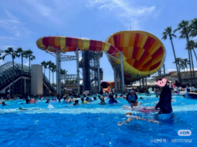 Entrada reducida a mitad de precio para el parque acuático Splish Splash63190322388611121