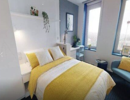 IQ Brighton