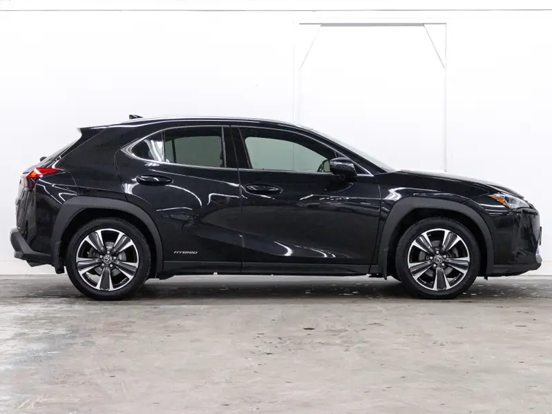 2019 Lexus UX 250h64530156197377121