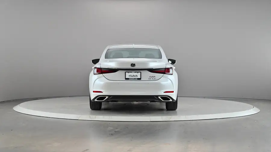 2020 Lexus ES64156451638915124