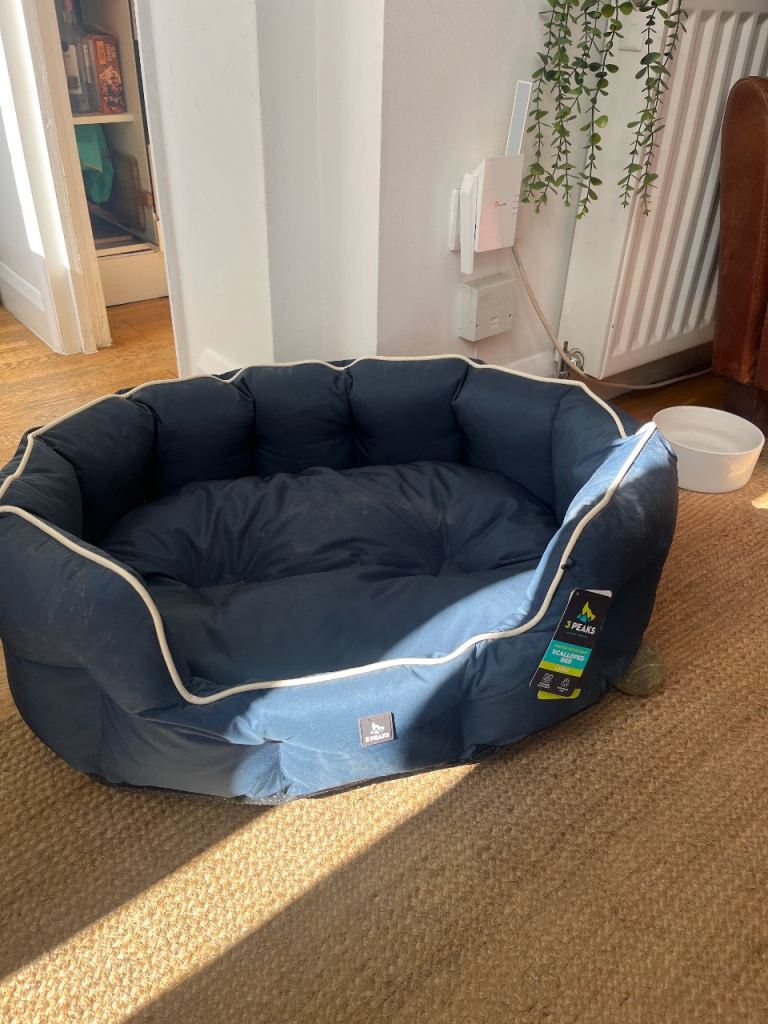 Blue Rectangular Pet Bed with Raised Sides and White Piping