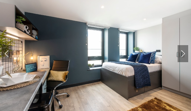 zenith64508531506819120