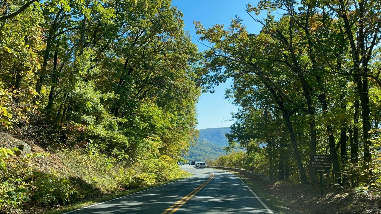 <1 Day> [2-14 People Small Group | Dreamy Scenic Journey] Virginia One-Day Tour · Skyline Drive Beauty Shenandoah National Park + Fascinating Virginia Caverns64119058077314121
