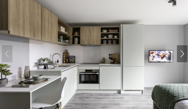 Aster House