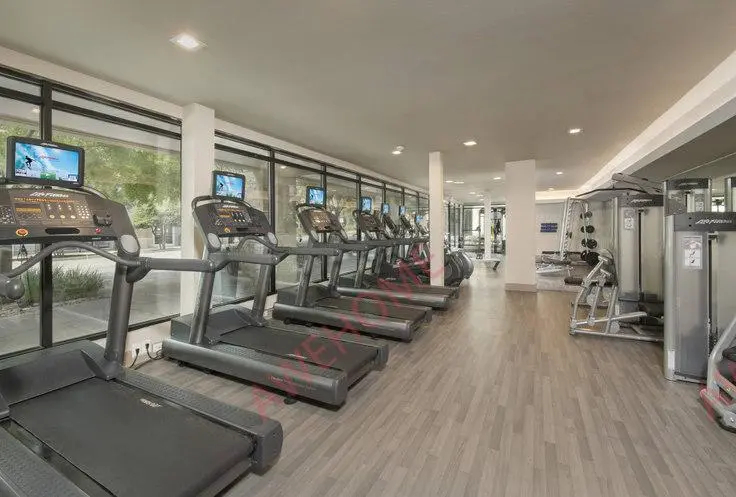 Residences at the Domain 17663681900423171121