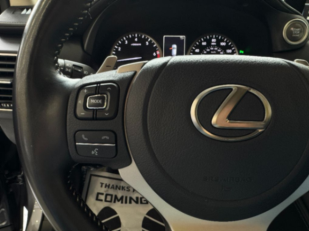 2021 LEXUS NX 300 COMFORT63327092734465121