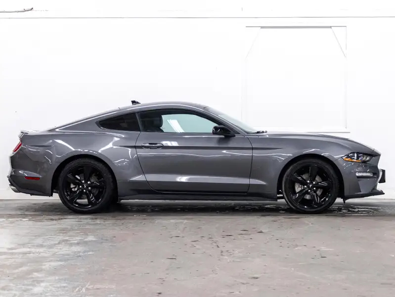 2021 Ford Mustang64498142351362121