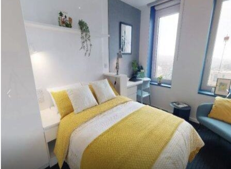 IQ Brighton