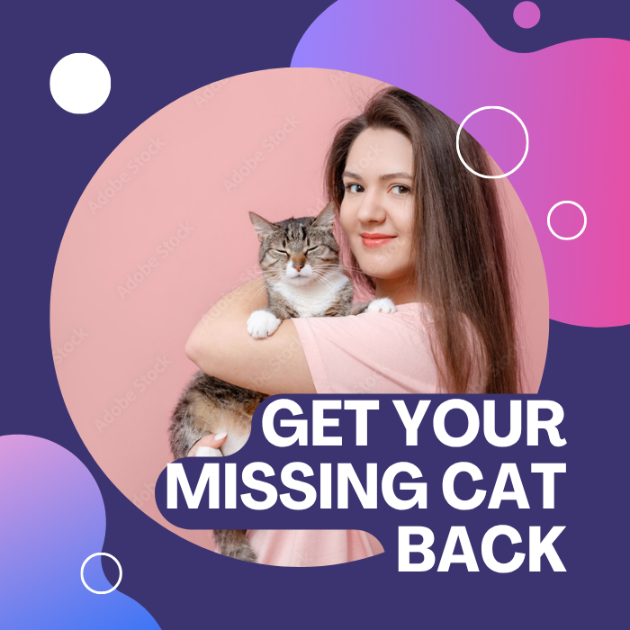 Have a runaway cat ?