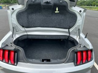 2019 FORD MUSTANG63289822394115121