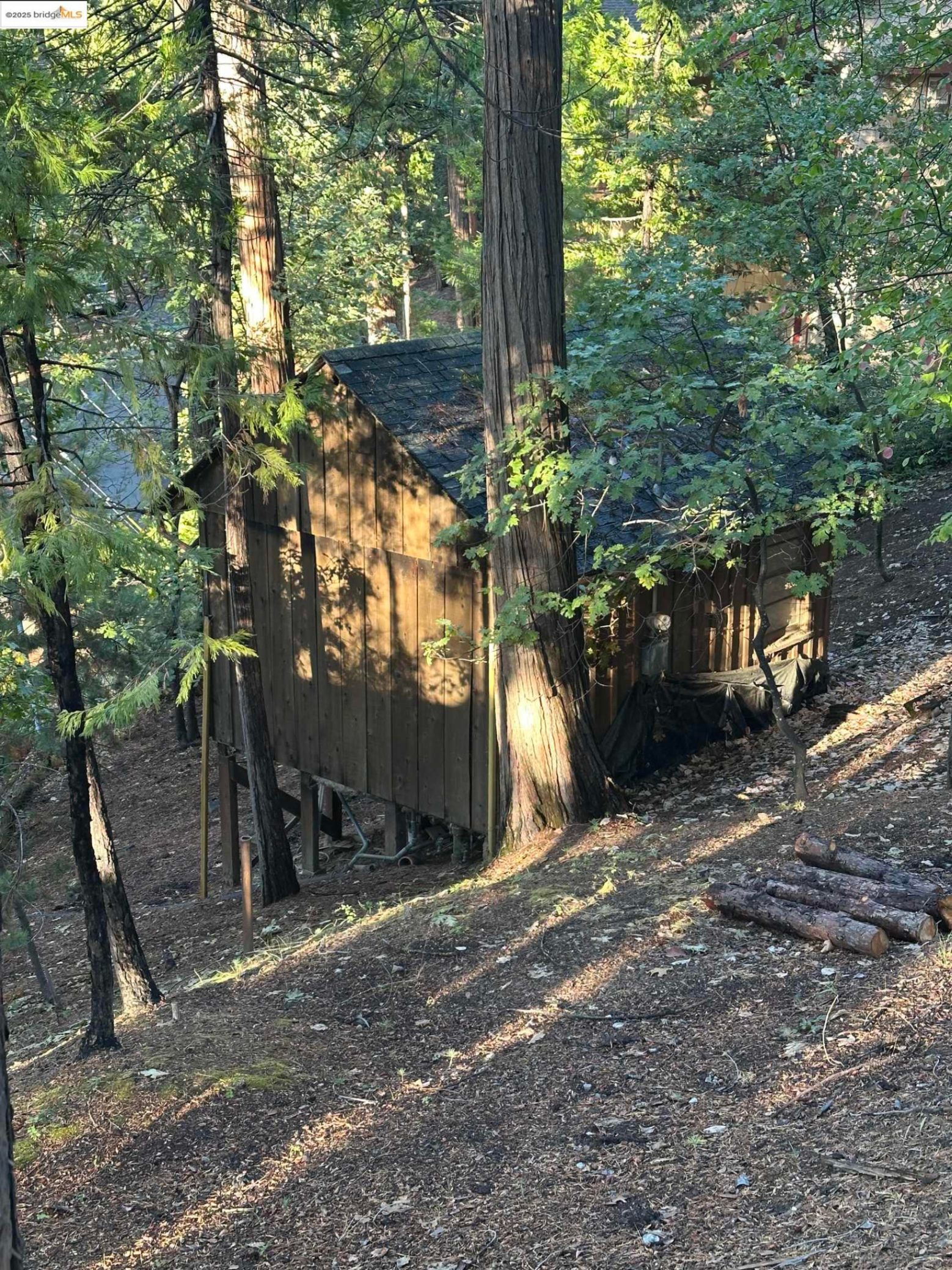 22624 Tamarack Dr, Twain Harte, CA 9538364306756805763122