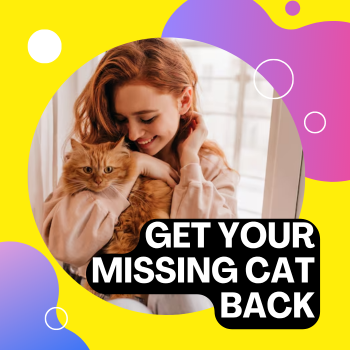 Regading to your pussy cat