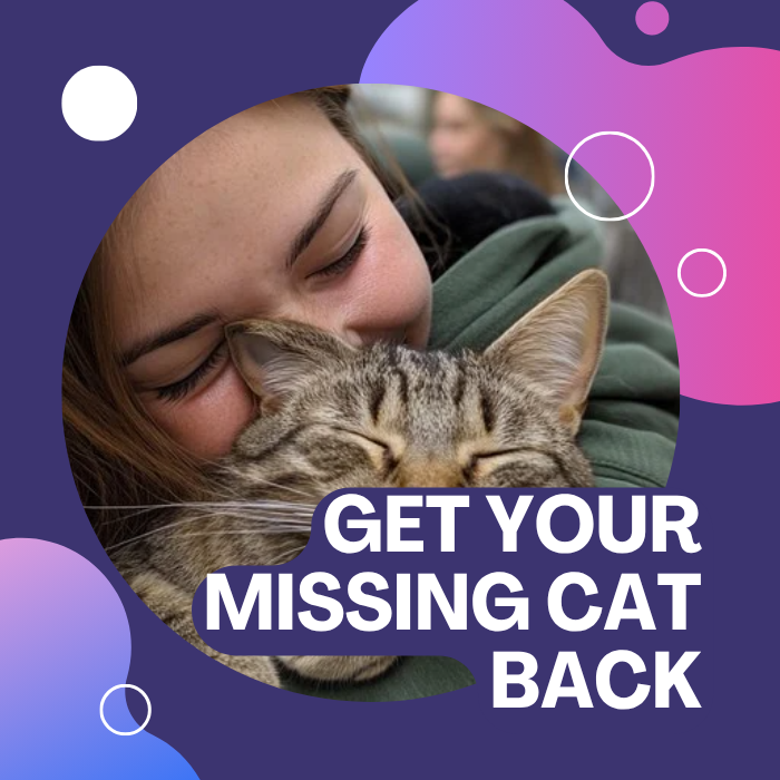 Get your missing cat back406628045045770240