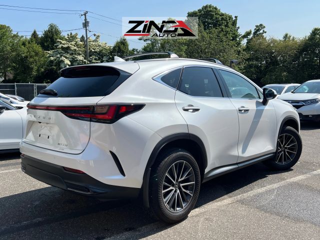 2024 LEXUS NX63688898887683124