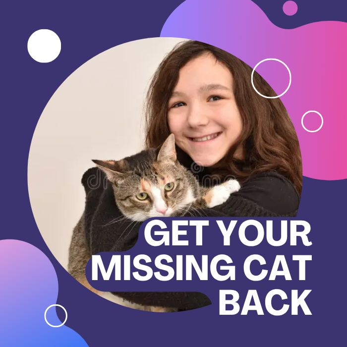 Get your missing cat back406755624847953920