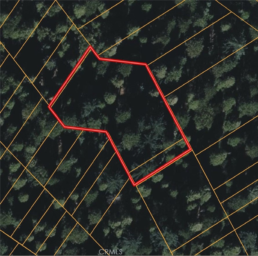 0 Deer Run Road, Cedarpines Park CA, 9232263644705476995121