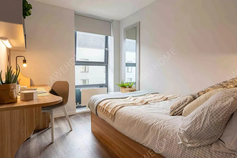 Gob Sterling Court - Habitación Premium con Baño Privado en Cobre