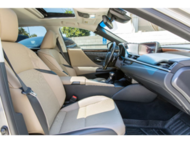 2019 LEXUS ES 300H63325052668803122