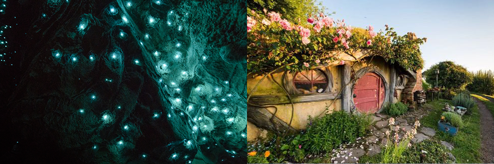 <2 días> Tour de 2 días por la Tierra Media en Isla Norte (salida todos los sábados)64119286671105123