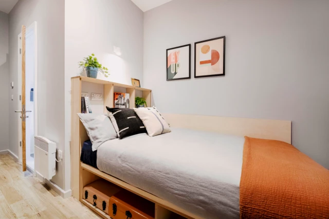 Snug double ensuite bedroom in a 6-Bedroom apartment, in a residence near Arts Tower residence near 86 Winter Street, Sheffield