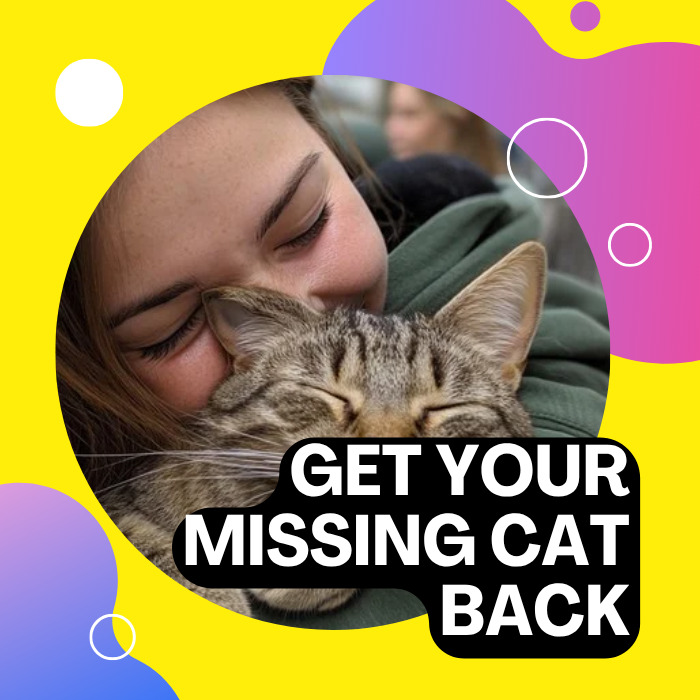 ¿Busca a su gato?