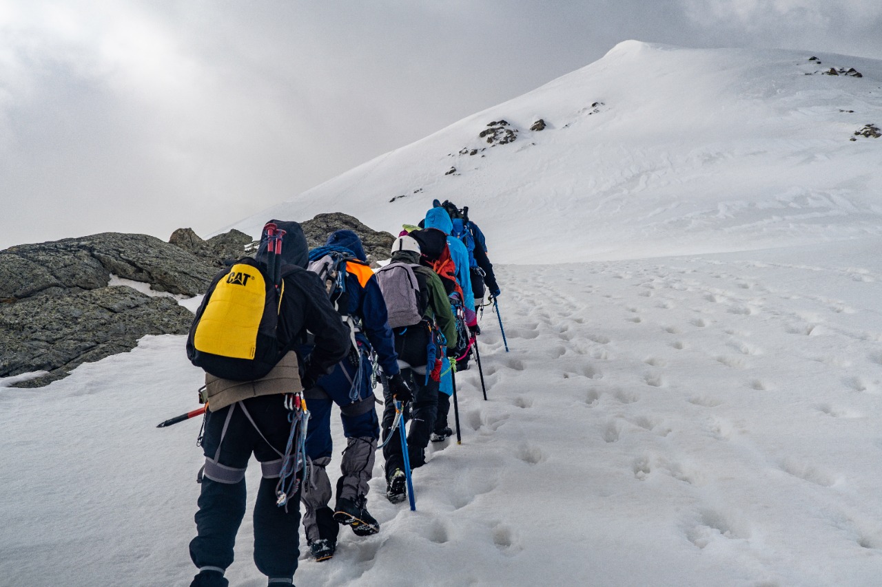 <1 Day> [Fairbanks Round-trip | Small Group of 14 | Experience Alaska's Pristine Wilderness] Denali National Park Hiking: Wilderness Trekking + Wildlife Encounters + Scenic Photography, Including Attraction Tickets + Hiking Gear + Free Traction Cleats (Minimum 4 Travelers)64113405184641120
