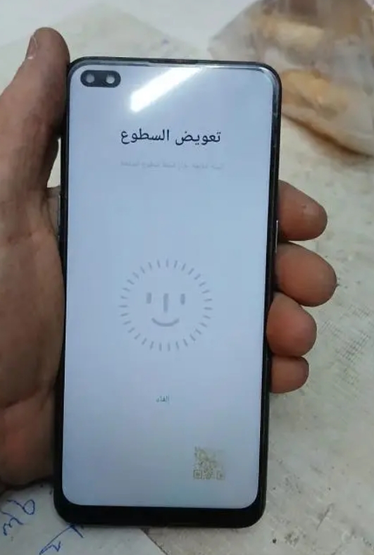 رينو 465094039818370121