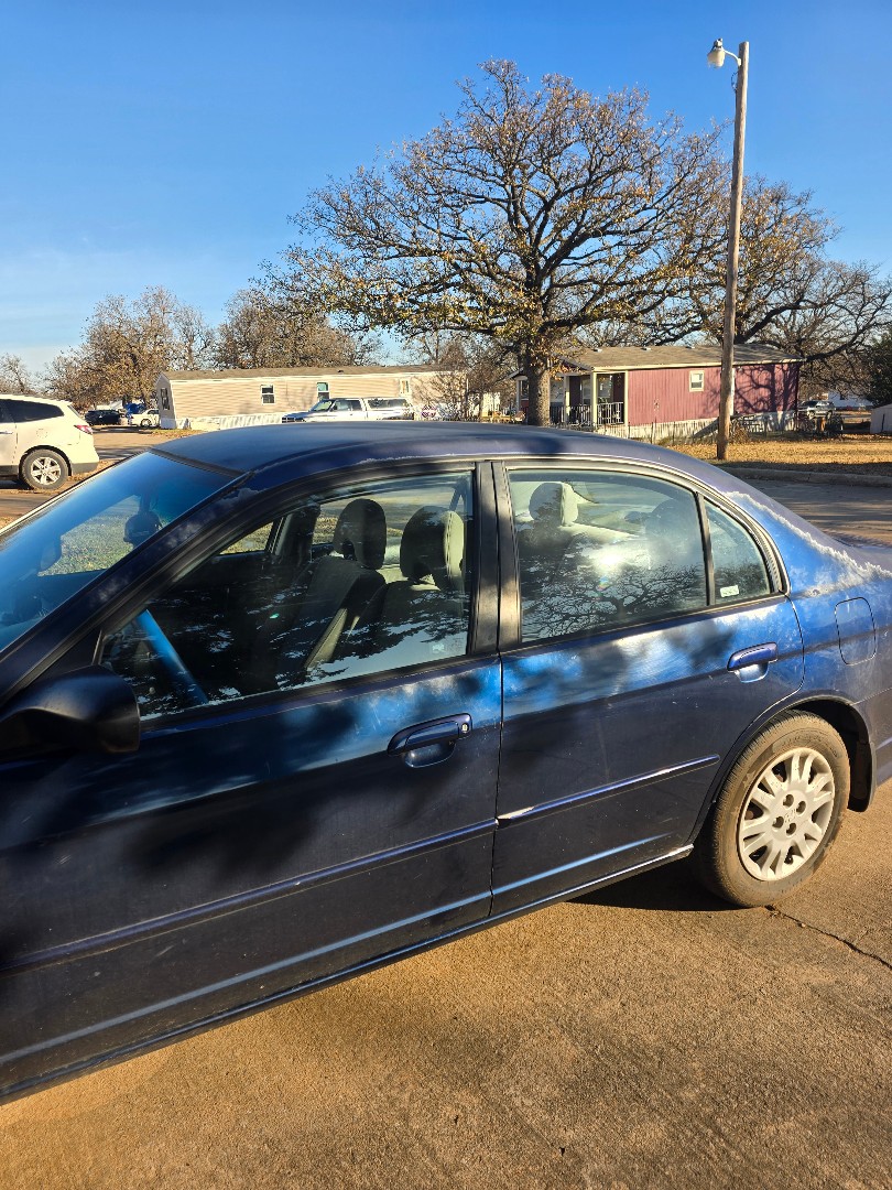 Verde65123444874113124